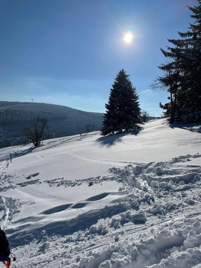 Villa Laas Oberwiesenthal Ngoại thất bức ảnh